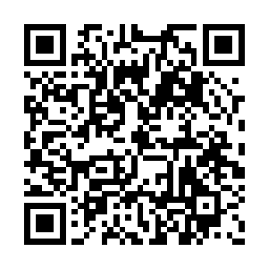 夏天不应该能够如此轻松挡住龙居的攻击才对啊二维码生成