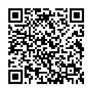 夏天之前也没打算让红戈家族的这些人活着离开二维码生成