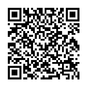 夏天之前去的绿林山庄已经算是环境最好的地方了二维码生成