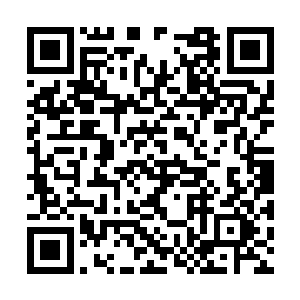 夏天之前和八大世家的家主们也是交手过很多次的二维码生成