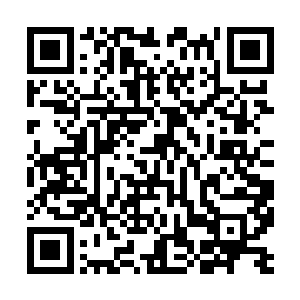 夏天之所以来这里就是因为今天晚上是表姐的生日party二维码生成