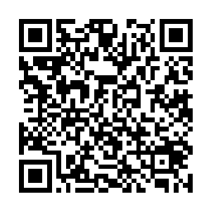 夏天之所以能够在面对各种高手都是游刃有余的原因二维码生成