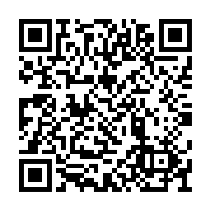 夏天也使用鬼头玉发动了自己大面积的灵魂攻击二维码生成