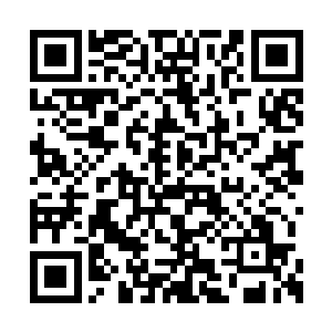 夏天也想要看看这个所谓的圣地究竟是什么地方二维码生成