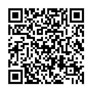 夏天也是完全不去管自己现在的处境究竟有多危险二维码生成