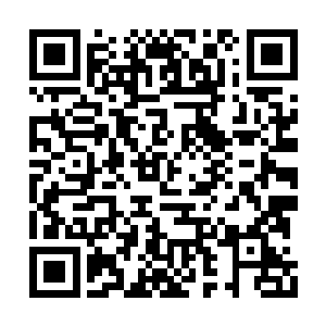 夏天也是找了一个机会透漏给了其他的太上长老二维码生成