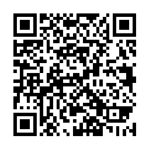 夏天也是明白之前天涯商会那个渡劫高手是什么意思了二维码生成