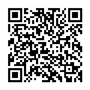 夏天他们四个拿着两个大箱子直接进入到了一家偏僻的旅店里面二维码生成