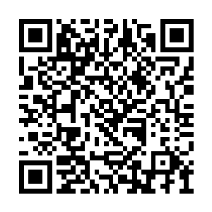 夏天仿佛是要以一人之力对抗整座淫佛城的架势二维码生成