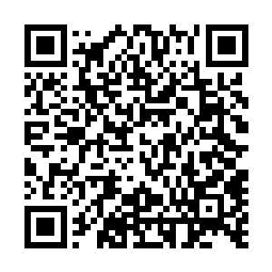 夏天低头间就看到六个月的小碗儿睁着懵懂的凤眼看她奶奶二维码生成