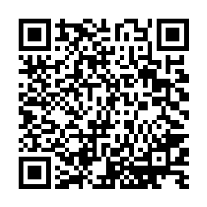 夏天你已经见惯了各种各样因为贪婪而毁灭的势力了二维码生成