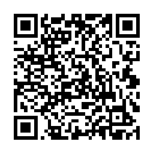 夏天刚才看到对方消失的时候漫云仙步直接向后退去二维码生成