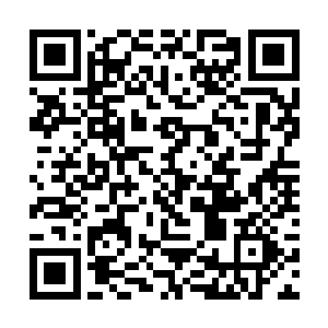 夏天十分认真的说道夏天吃的只不过是最普通的炒饭二维码生成