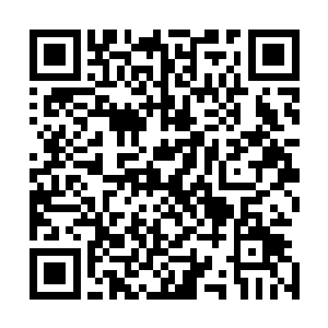 夏天原本以为她这么有个性的女孩是不会轻易叫别人哥哥的二维码生成