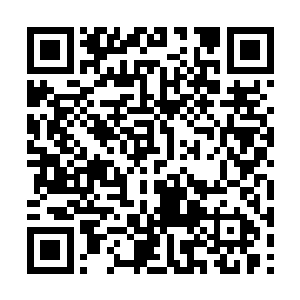 夏天可是咱们几个里面第一个领悟到界的力量的人二维码生成