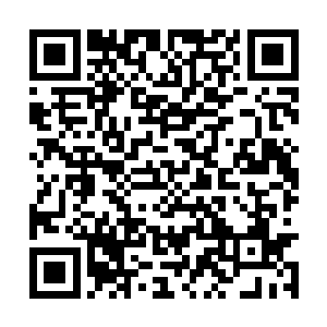 夏天听到这两个字的时候看向了自己怀里的宁小玉二维码生成