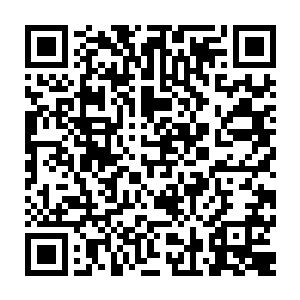 夏天和双子殿的第一回合交手就是轻松击败了双子殿三大将军之一的金鳌二维码生成