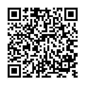 夏天和自己的五大分身在处理周围飞过来的大面积虫族二维码生成