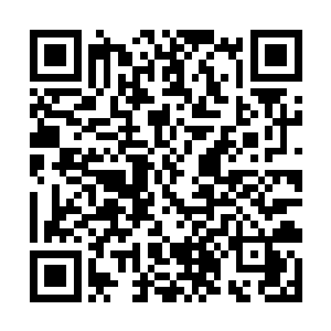 夏天和钱队刚刚走出病房就看到那几个医生堵在那了二维码生成