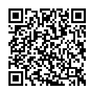 夏天在知道他有危机的时候就第一时间赶了过来二维码生成