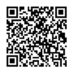 夏天将各种大传讯符和一些保命的东西给北国神王留下了二维码生成