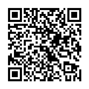 夏天将除了天阵和残魂之外的所有魂魄全都交给了北国神王二维码生成