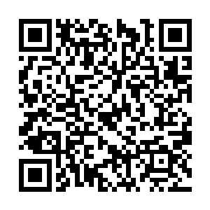 夏天就用这两根手指夹住了第二十层守护者的长剑二维码生成