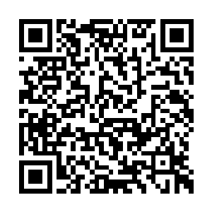 夏天就能猜得出这个大家伙的体重究竟有多恐怖二维码生成