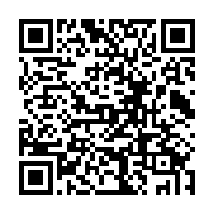 夏天居然只用两根手指就夹住了第二十层守护者的长剑二维码生成