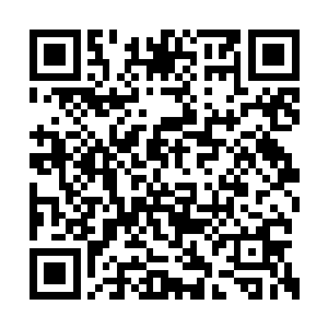 夏天已经硬生生的将被分解的百家星给拉了出来二维码生成