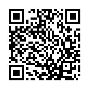 夏天带着蒋钦和袁琳去燕子坞探望过二维码生成