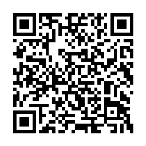 夏天带着闹闹和小碗儿在给叶伯煊开家庭联欢会二维码生成