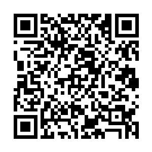 夏天幕上显示自己的经验条是零的时候也是非常的无奈二维码生成