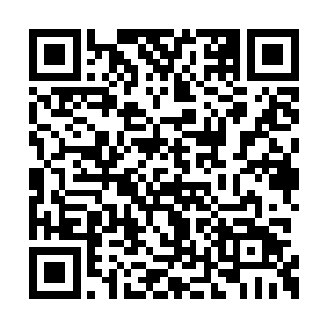 夏天把夹半天攒了的几个松子瓤放老太太手里了二维码生成