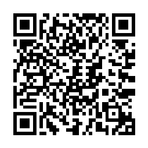 夏天挂断了电话之后又给徐老爷子打了一个电话报了个平安二维码生成