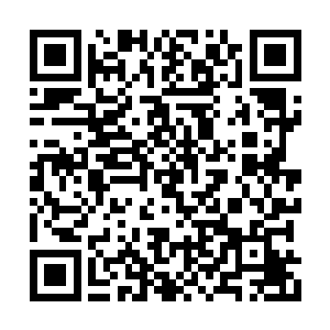 夏天是将中三界未来最强的一批人聚集在了一起二维码生成