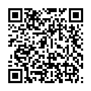 夏天是非常清楚仙界王丹和大界王丹的功效有多强二维码生成