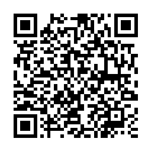 夏天暂时也没有时间去观察亚王尊和六王尊到底在什么位置了二维码生成