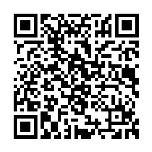 夏天正在一点点的缩小他和那两个人之间的差距二维码生成