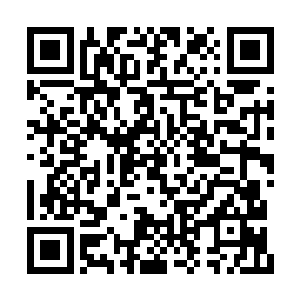 夏天此时已经明白天狼府的大长老是什么意思了二维码生成