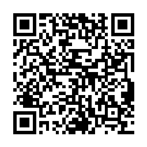 夏天现在决定的就是要让他们亲眼看到自己的希望所破灭二维码生成