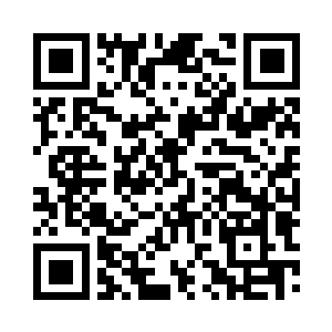 夏天的匕首再次跟那名上忍撞击在了一起二维码生成