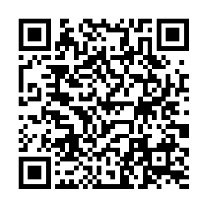 夏天的双手对着两个正要去支援的四鼎五阶高手抓出二维码生成