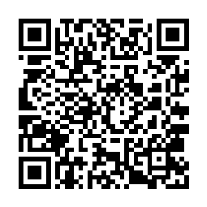 夏天的弓箭领域明显要比黑风的弓箭领域等级高二维码生成