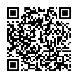 夏天的战斗里面有很多小技巧也都被他们学去了二维码生成