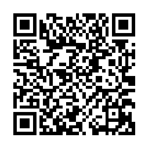 夏天的漫云仙步和灵犀一指都是需要多年的基础学习才能修炼二维码生成