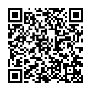 夏天的狮子战歌又用在了东皇生水和神国一方的身上二维码生成