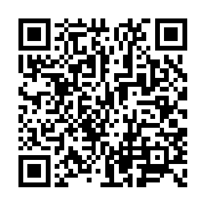 夏天的狮子战歌是用在百晓生自己一个人身上的二维码生成