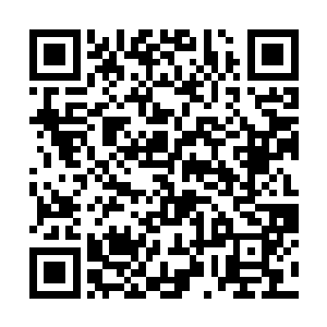 夏天的皮肉伤之所以能够恢复这么快跟该隐之血有关二维码生成