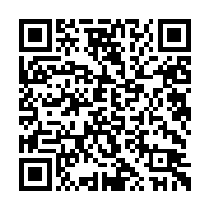 夏天的目光也是直接看向了储物戒指里面的东西二维码生成